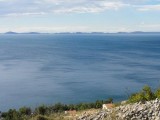 DSC05566
